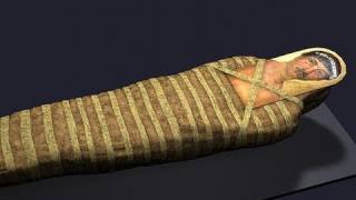 Mummification Historical Significance and Cultural Impact [upl. by Tessy]