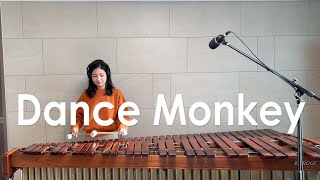 Dance Monkey  Tones and I  Marimba Cover [upl. by Templas701]