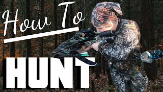 HOW TO HUNT Deer hunting 101  WHITETAIL DEER HUNTING Tips For Beginners [upl. by Rosenkrantz]