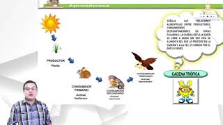 Ecosistemas en equilibrio clase 1 – Quinto Grado – Ciencias Naturales [upl. by Lettie]