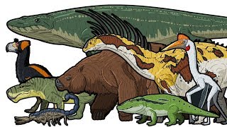 PREHISTORIC LIFE  Animated Size Comparison [upl. by Matheny296]