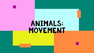 Animals Movements [upl. by Aissej]