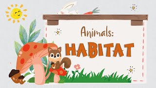 G1 Science Animals Habitat [upl. by Humberto136]