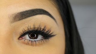 Eyebrow Tutorial Using Anastasia Dipbrow Pomade [upl. by Descombes670]