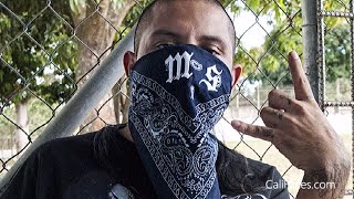 5 Biggest Mexican Gangs In Los Angeles [upl. by Ayanad673]