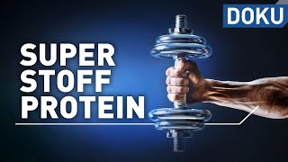 Superstoff Protein – macht Eiweiß schlank und fit  Superstoffe  alles wissen  doku [upl. by Marola351]