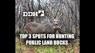 Top 3 Spots for Hunting Public Land Bucks [upl. by Vizza515]