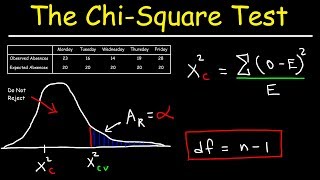 Chi Square Test [upl. by Cerell663]