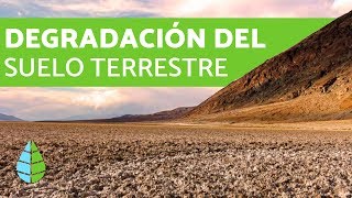 Degradación del suelo terrestre  CAUSAS Y CONSECUENCIAS [upl. by Alletsyrc444]