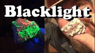 HOW TO FIND GOLD  Using a  BLACK LIGHT  ask Jeff Williams [upl. by Neelloc593]