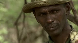 Heartbreaking Truth About Elephant Poaching  This Wild Life  BBC Earth [upl. by Nagek]