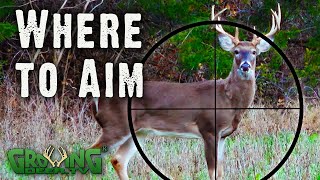 Where to Aim A Guide for Deer Hunters from Real Hunts 564 [upl. by Given651]