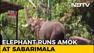 12 Injured At Keralas Sabarimala Temple After Elephant Carrying Priest Atop Runs Amok [upl. by Oisacin]