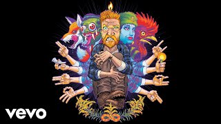 Tyler Childers  Peace of Mind Audio [upl. by Ahtiuqal841]