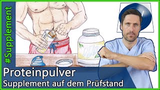 Proteinshakes Welche Vorteile haben Proteinpulver aus ärztlicher Sicht Muskelwachstum amp Abnehmen [upl. by Nagard]