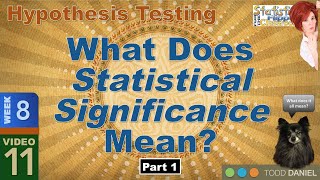 What Statistical Significance Means – Part 1 811 [upl. by Katharyn]