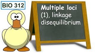 Multiple loci 1 linkage disequilibrium [upl. by Lanaj]