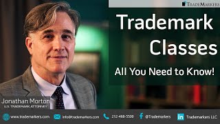 Trademark Classes  All You Need to Know  TradeMarkers® [upl. by Oicirbaf]