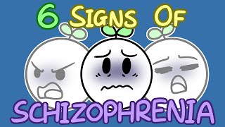 6 Signs Of Schizophrenia [upl. by Jaquenette413]