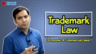 Economic amp Commercial Laws  CS Executive  Trademark Law Explained By Advocate Sanyog Vyas [upl. by Enyamert841]