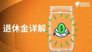 澳洲退休金（superannuation）账户管理知多少？ 安居澳洲  SBS中文 [upl. by Eki]