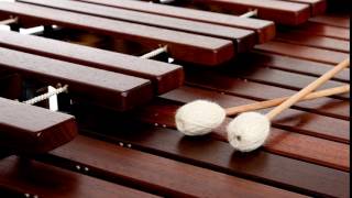 Marimba  SOUND EFFECT [upl. by Enelyw]