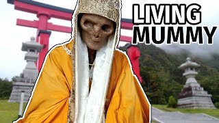 The Living Mummies of Japan  Sokushinbutsu Monks [upl. by Stelmach646]