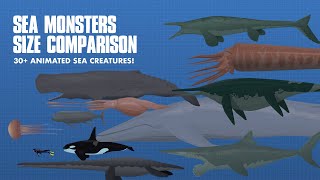 LARGEST SEA CREATURES  ANIMATED Size Comparison Sea Monsters [upl. by Elset333]