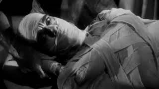 THE MUMMY 1932 Clip Mummified [upl. by Yadsnil695]