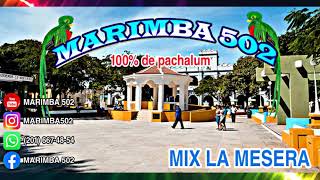 MARIMBA 502 MIX LA MESERA Nuevo 2020 [upl. by Sivram]